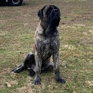 Meet your Posher, Patricia